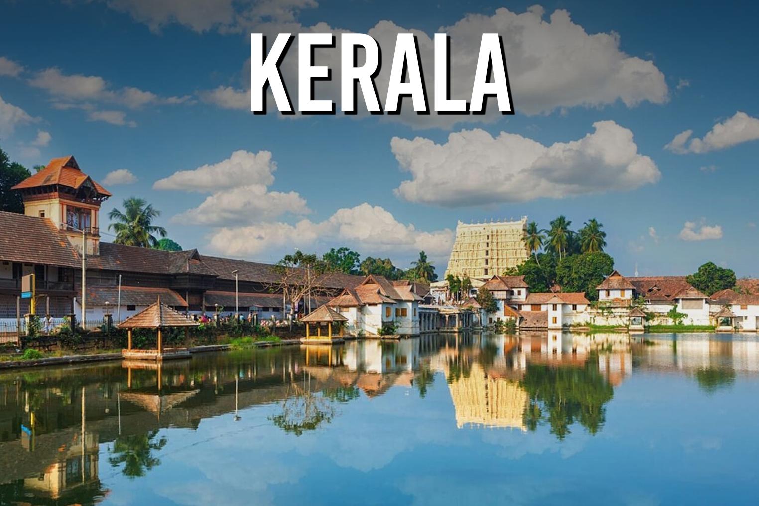 Food consultants in Kerala-SolutionBuggy