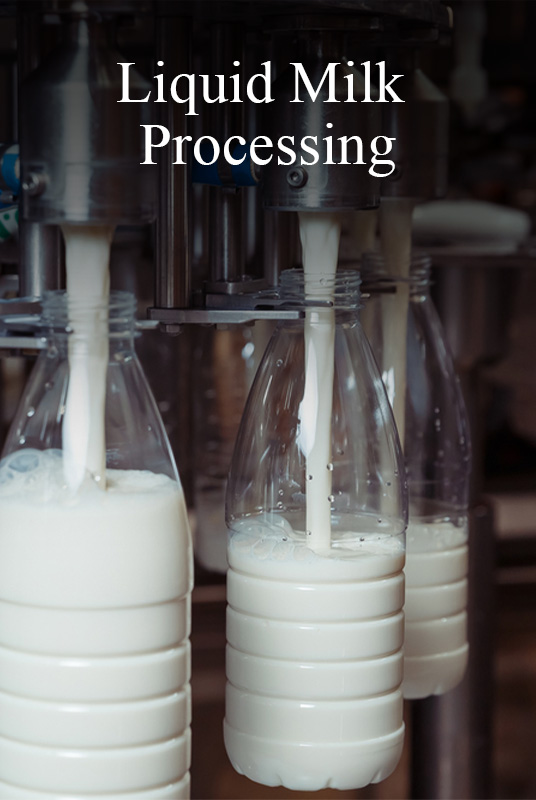•	Traditional Dairy Products