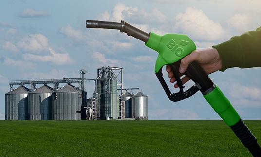 Biodiesel