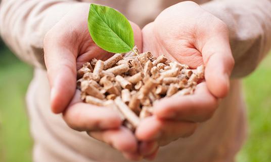 Biomass