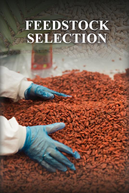 Feed Stocks Election bioenergy