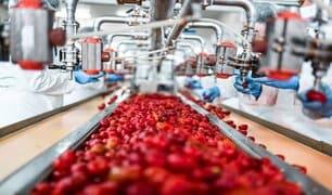 Setting up of Agro-processing clusters-SolutionBuggy