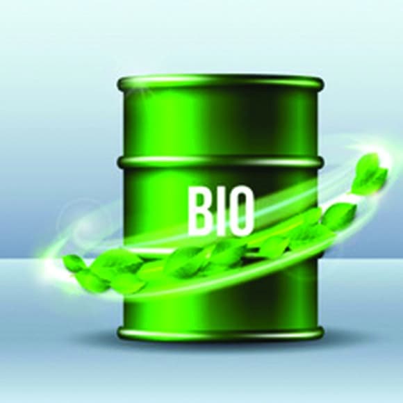 Biodiesel consultants