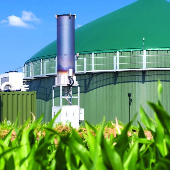 Biogas consultants