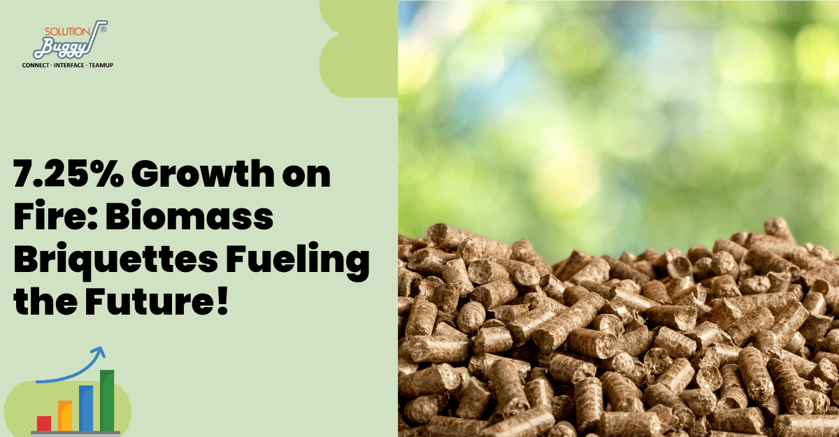 Setting Up a Biomass Briquettes Plant - SolutionBuggy