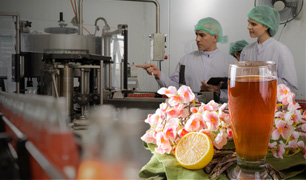 Food Product Development and Contract manufacturing for Nannari drink-SolutionBuggy