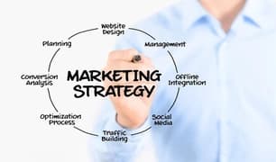 Looking for an expert to help in improving the sales and building a strong marketing strategy