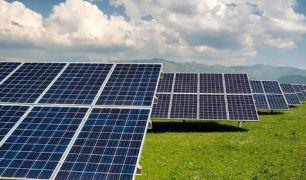 Require consultant to setup solar power plant with a capacity of 5 MW -SolutionBuggy