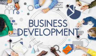 Expert required for business development -SolutionBuggy