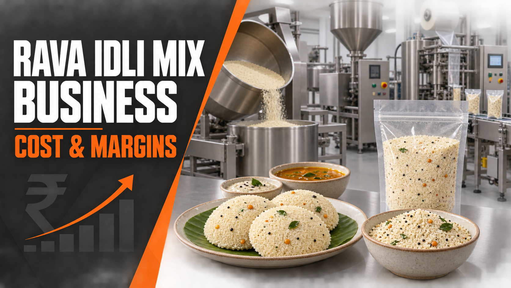 Rava Idli Mix Manufacturing Business: Cost and Margins